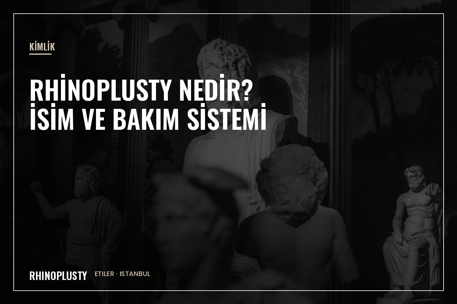 Rhinoplusty klinik ve sistem açıklaması