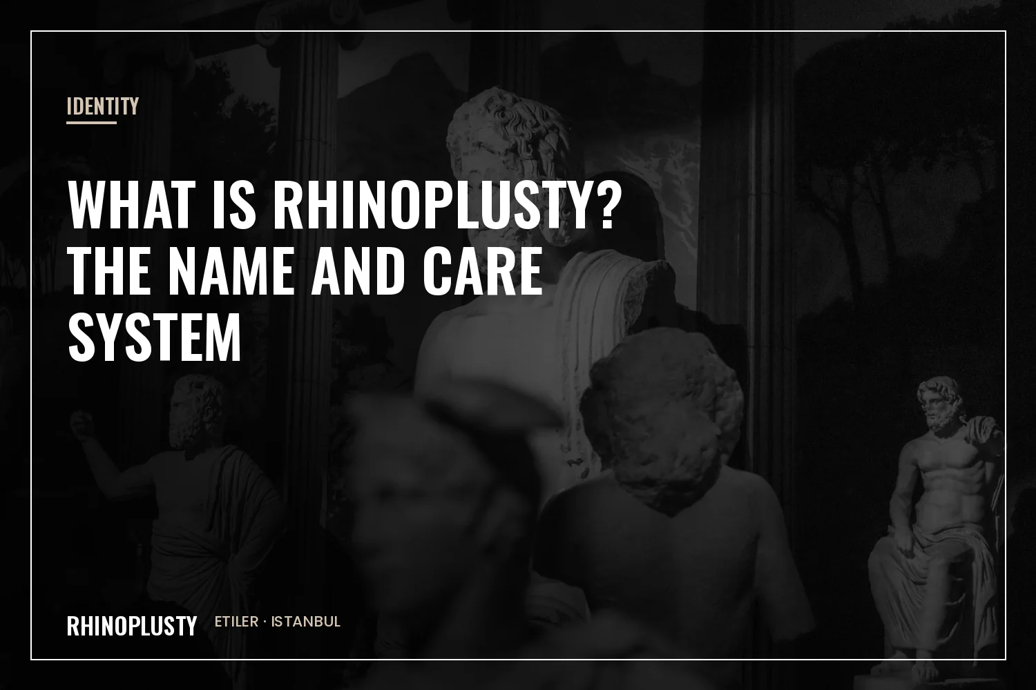Rhinoplusty clinic and system explained