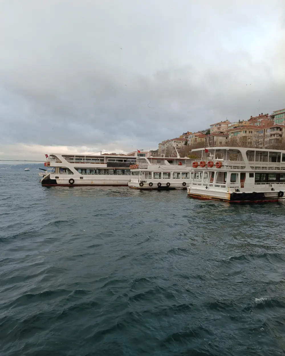 Bebek and the Bosphorus shore